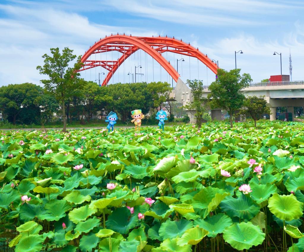 "千万工程"调研行丨有"颜值",更有"产值"——杭州临平美丽乡村走访