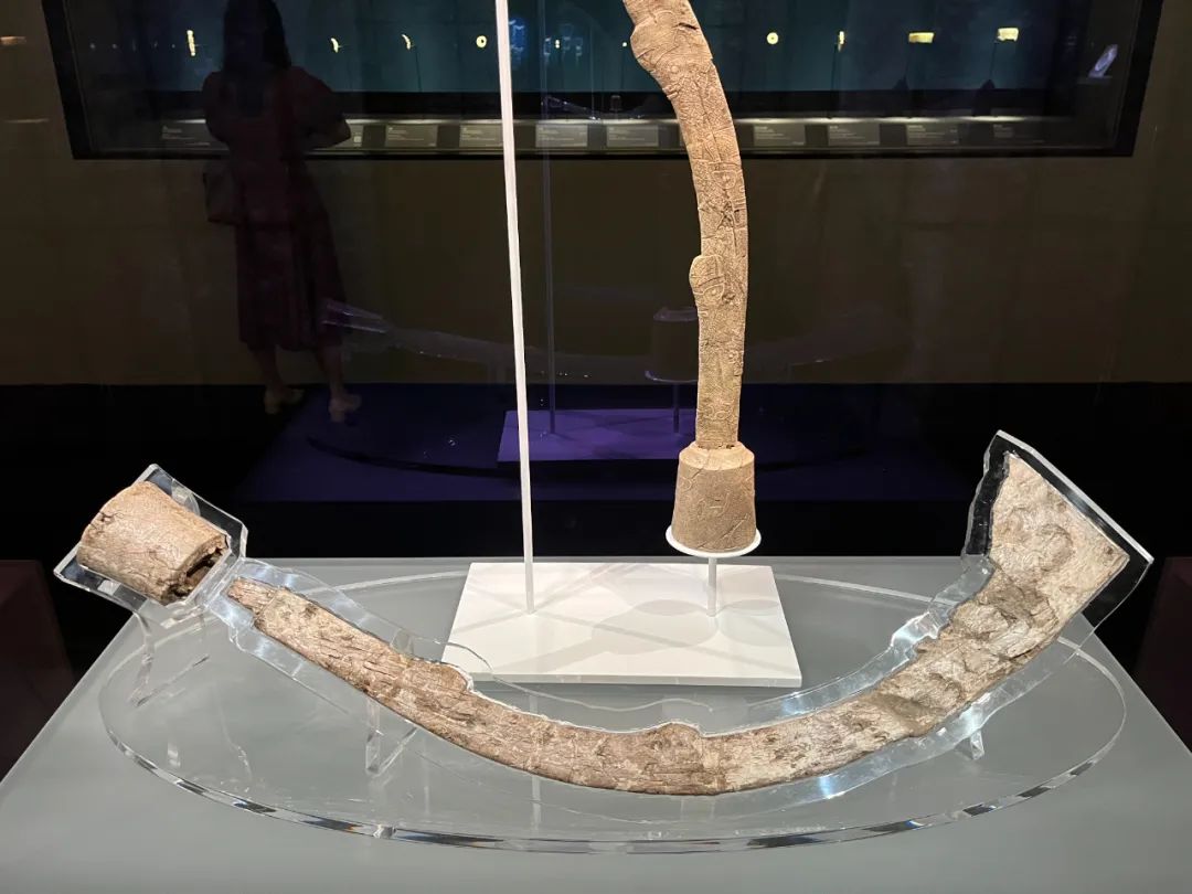 上博发掘的象牙权杖