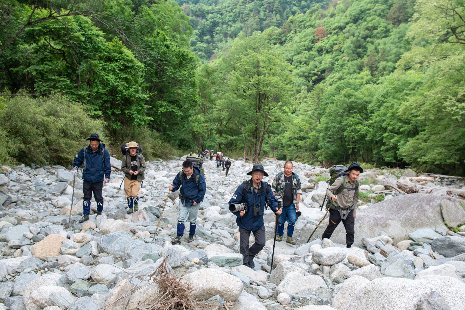 ↑开展高山区域生物多样性监测工作