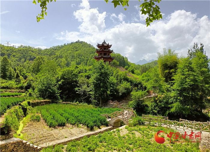 小康路上看老乡文县中庙镇美丽乡村增颜值人居环境底色亮