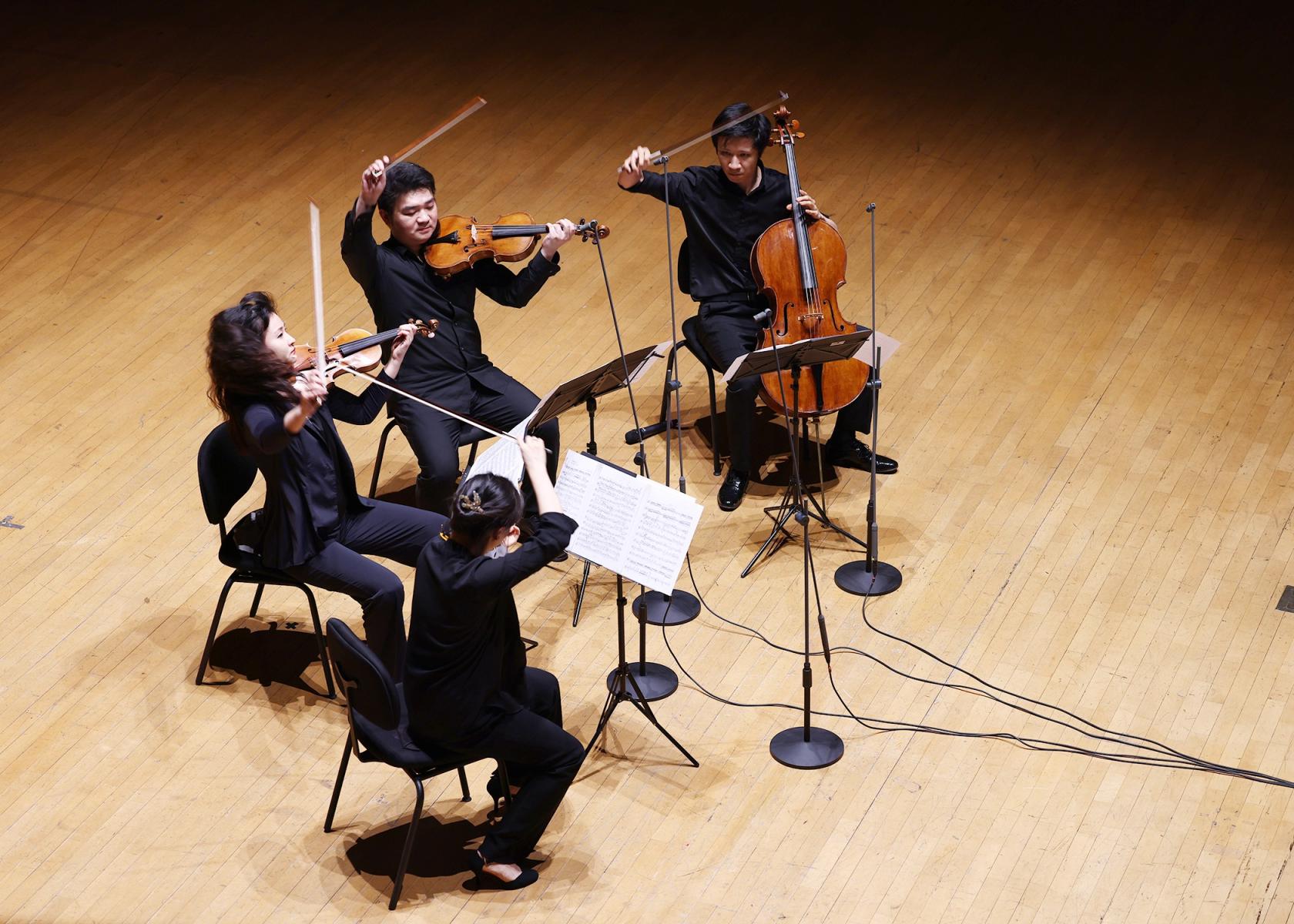 琥珀四重奏用音乐点亮京城浪漫夜晚|音乐会_新浪财经_新浪网