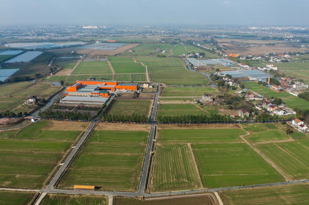 位于嘉兴市南湖区余新镇的大片高标准农田.新华社记者 徐昱 摄