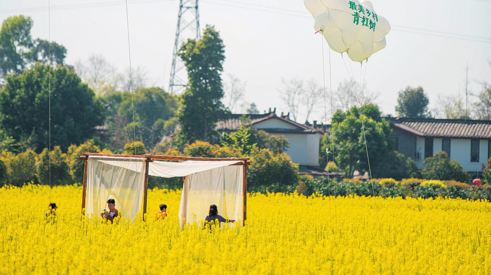 成都市郫都区青杠树村,游客在油菜花田里拍照打卡(2023 年 3 月 13 日