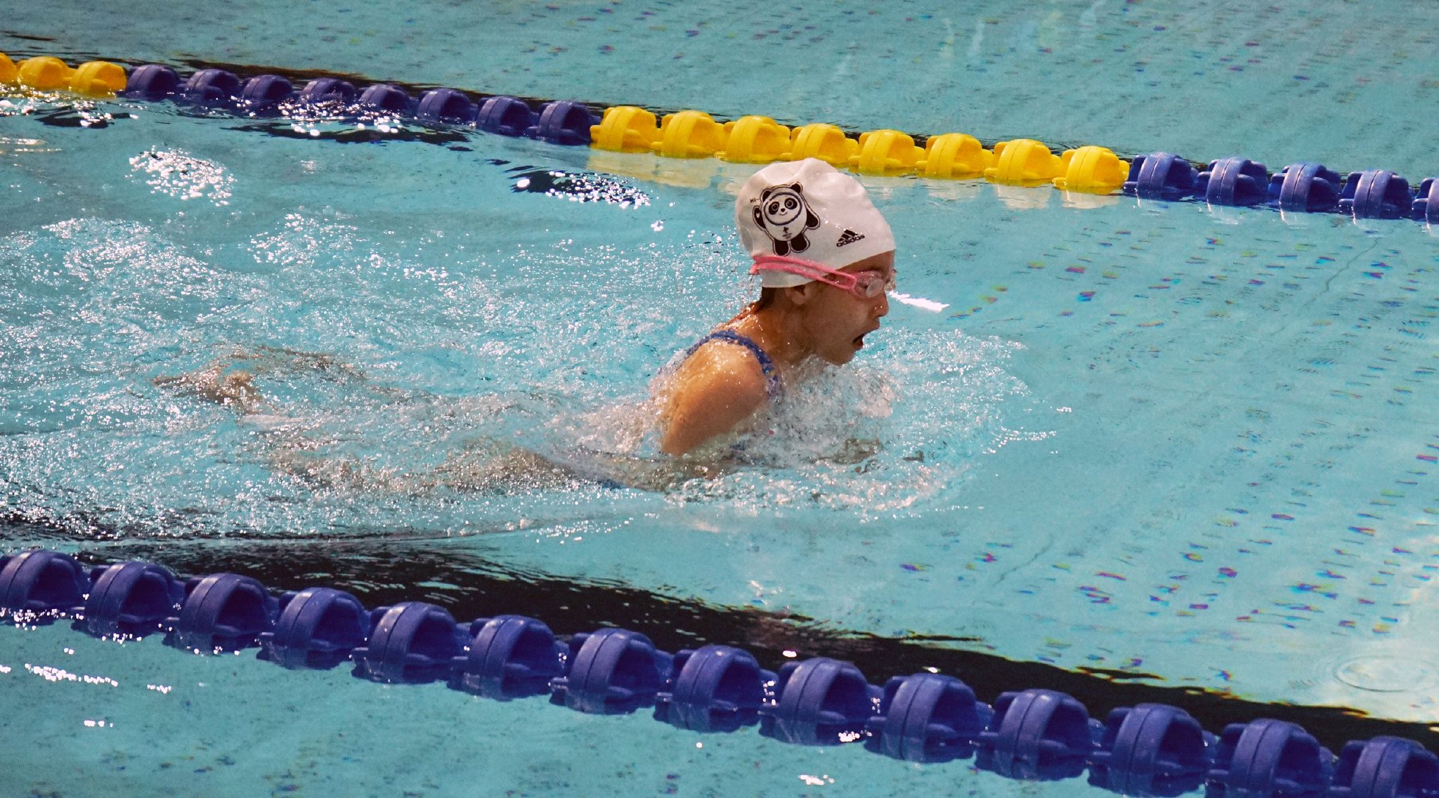 2023年全国体校联合会青少儿游泳巡回赛(西宁站)精彩举行|青海_新浪