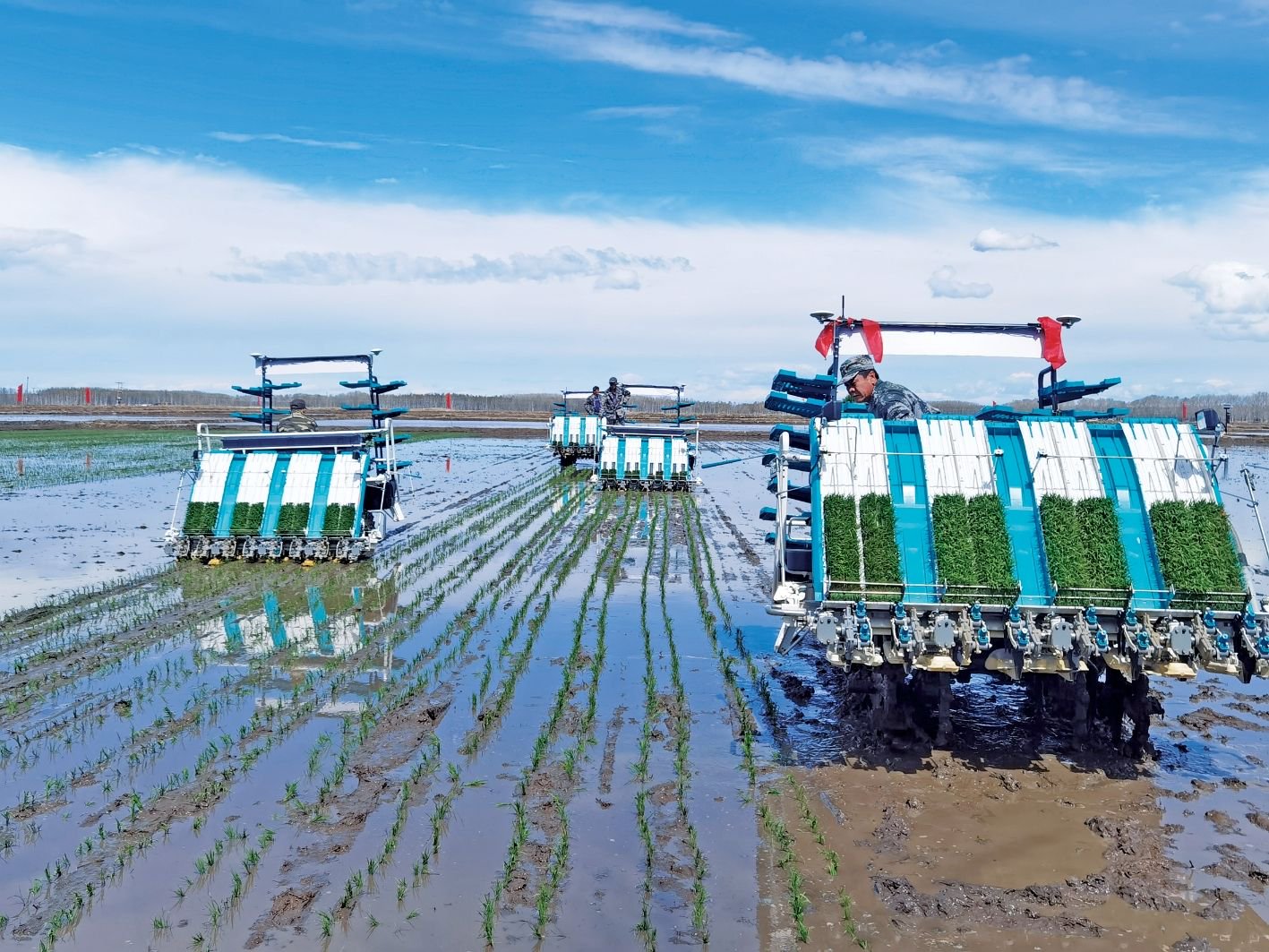 在阳光农险黑龙江分公司保险保障下,北建三江垦区已完成水稻插秧.