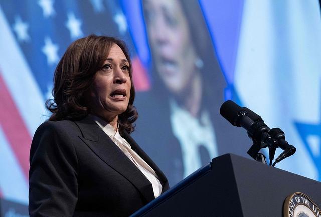 美国副总统哈里斯,资料图