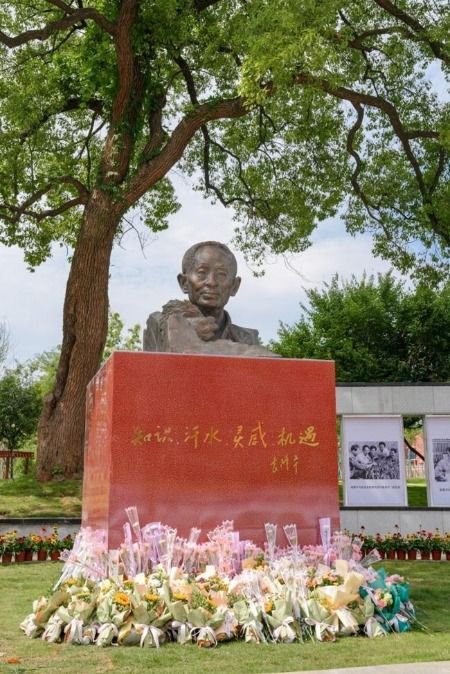 袁隆平院士雕像在湖南农业大学落成揭幕|袁隆平_新浪财经_新浪网