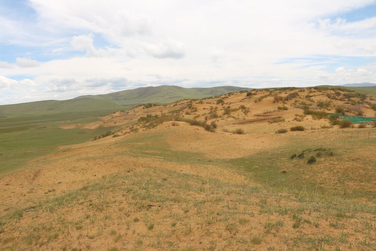 若尔盖县阿西镇荒漠化治理前. 若尔盖县林草局供图