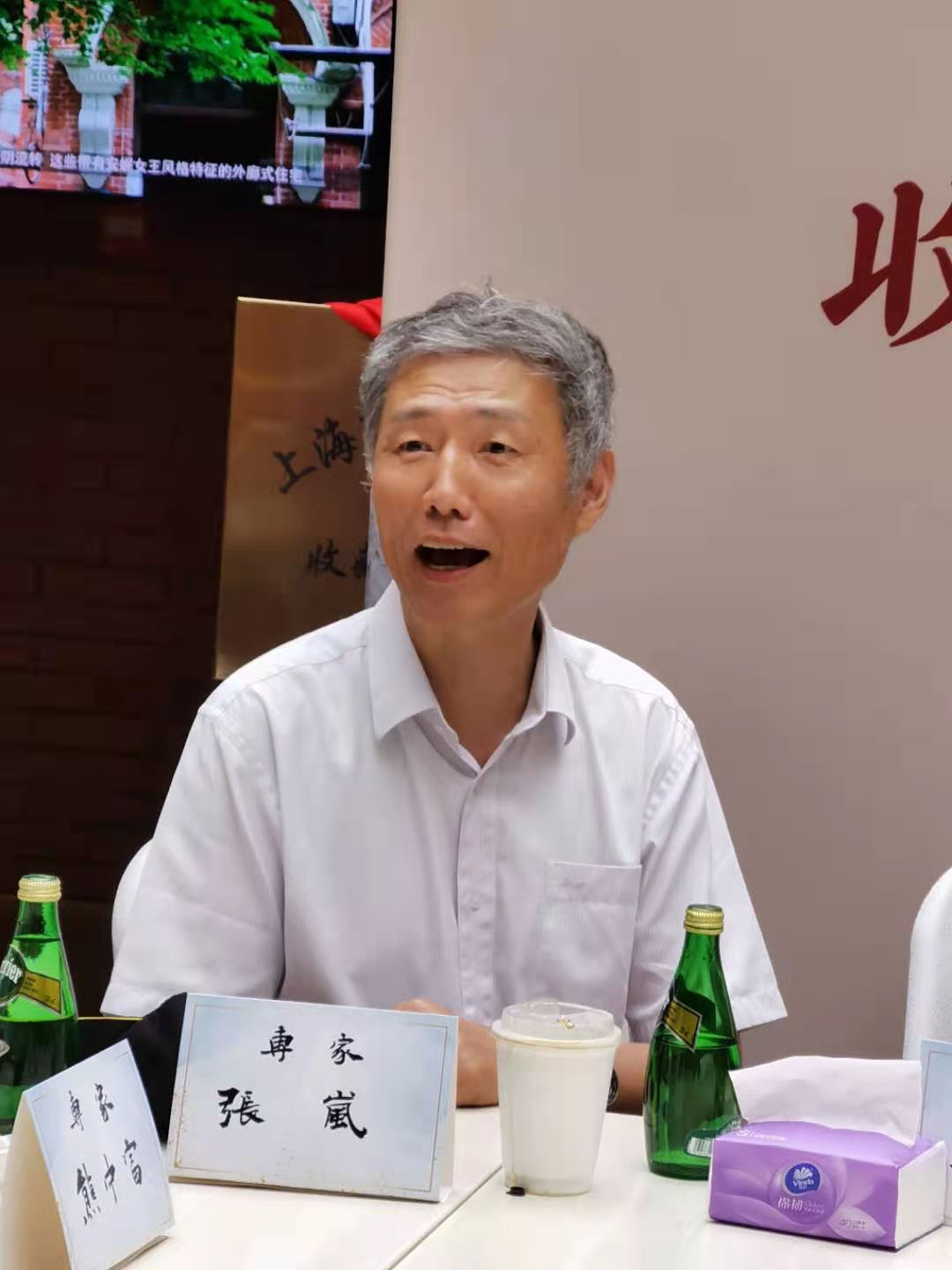 上海视觉学院教授,原上海历史博物馆馆长张岚发言