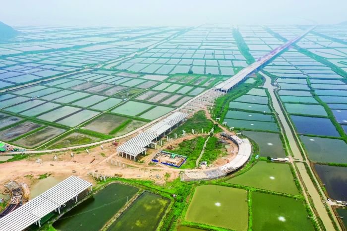 黄茅海跨海通道江门台山段赤溪东互通架梁现场