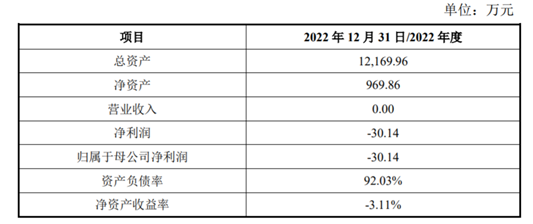 九合云投2022年度财务数据