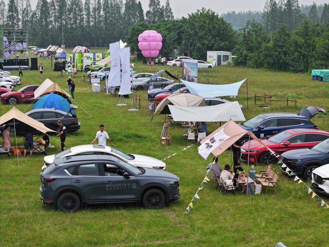 端午,开车去江心洲露营