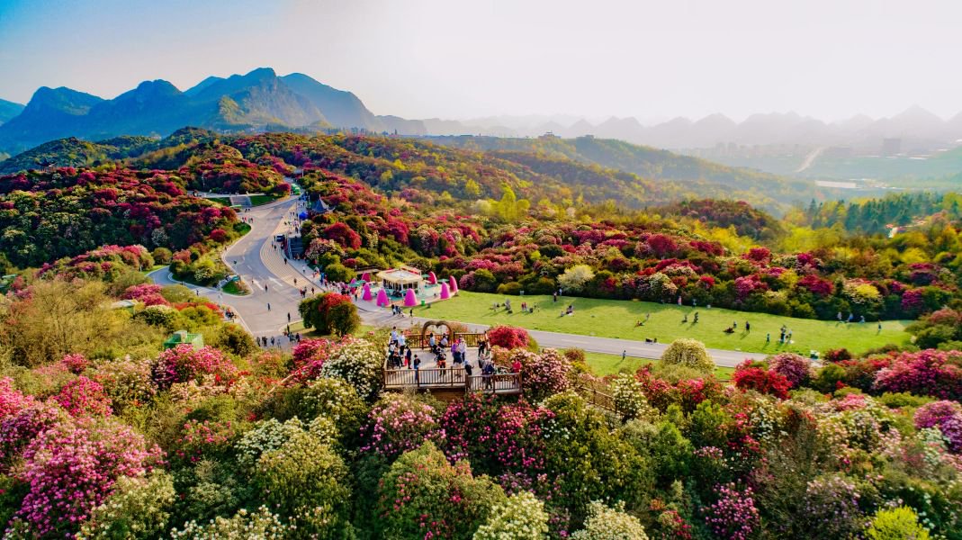 贵州旅游十大必去景区图片