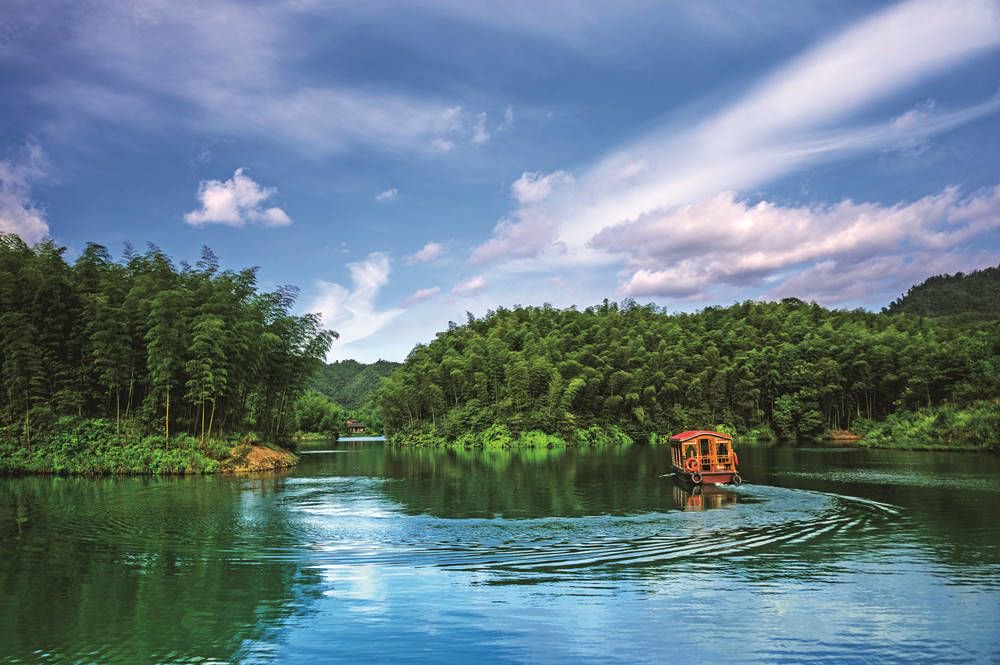 赤水竹海国家森林公园 图源:遵义市文化旅游局