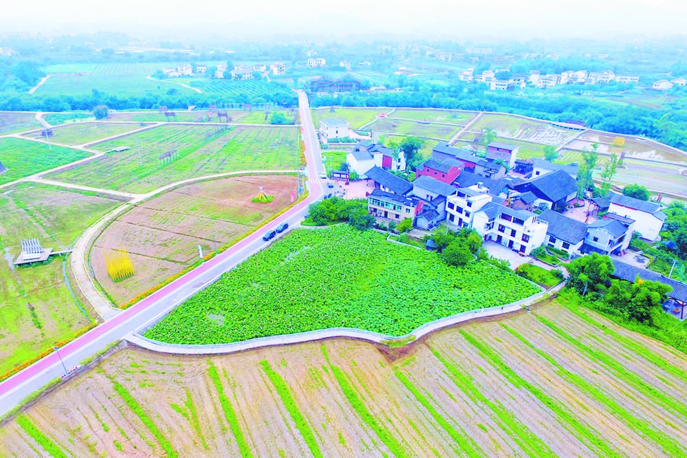 璧山区七塘镇将军村