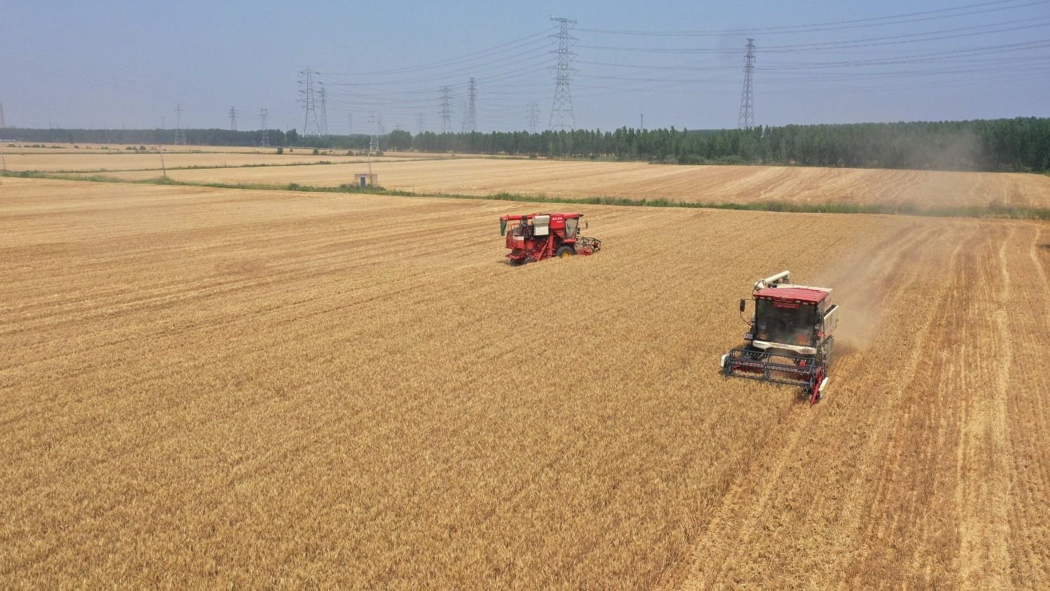 河北香河精心组织"三夏"农业生产|收割机_新浪财经_新浪网