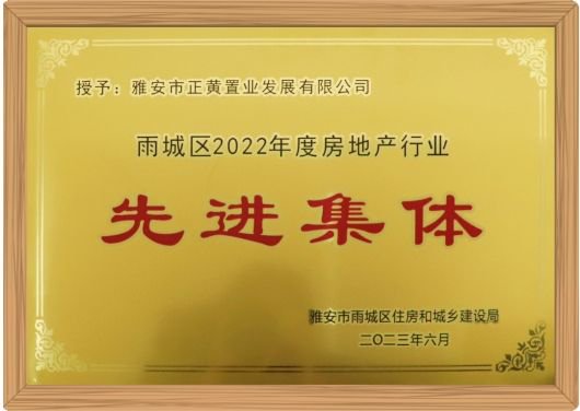 正黄集团旗下雅安市正黄置业发展有限公司获评先进集体奖|雅安市_新浪新闻