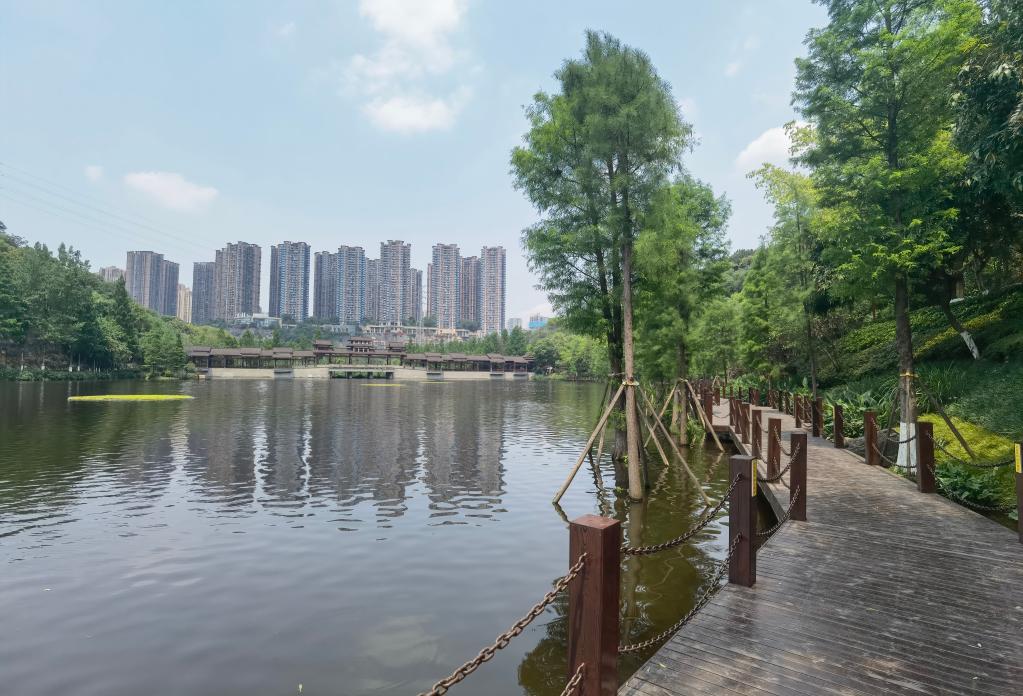 重庆九龙坡区彩云湖国家湿地公园.新华社记者吴燕霞 摄