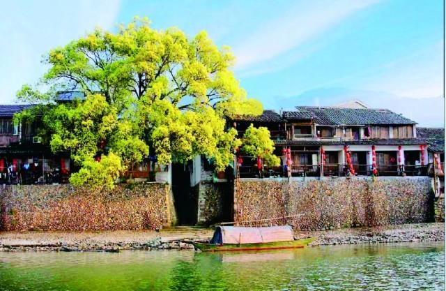 "千万工程"调研行丨浙江丽水:美丽乡村入画来|浙江省_新浪财经_新浪网