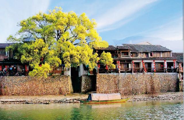 瓯江畔的大港头村.受访者供图