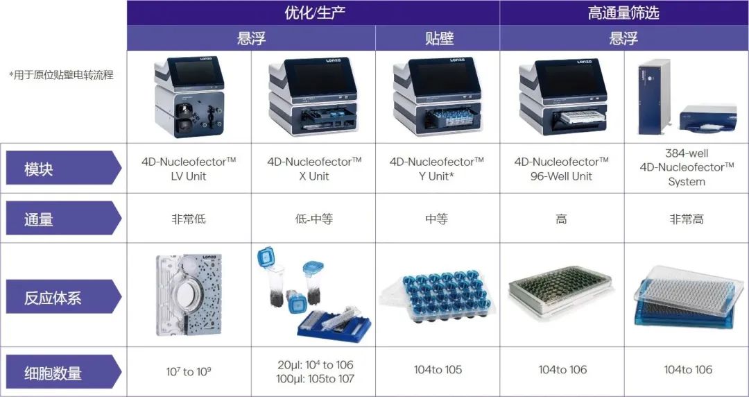 电转百科指南：如何提高电转染效率？技术专家总结以下八点！|试剂盒_新浪财经_新浪网