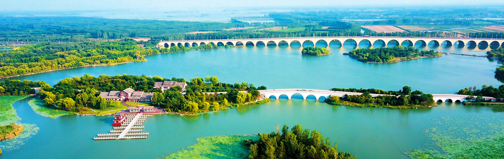 山东省济宁市太白湖湿地景色(2022 年6 月29 日摄) 郭绪雷摄/ 本刊