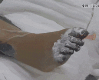 图片来源：辽宁广电大海热线视频截图