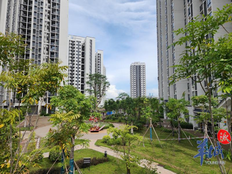 据了解,本次推出供应的1800余套共有产权住房实际上已经是第二次进入