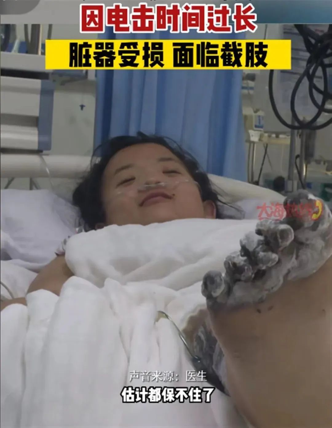 图片来源：辽宁广电大海热线视频截图