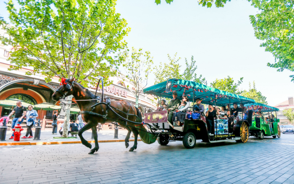 游人乘坐马车在天津市民园广场欣赏风景.