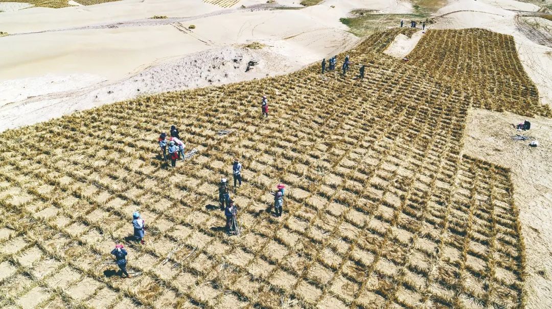 海南藏族自治州草方格治沙