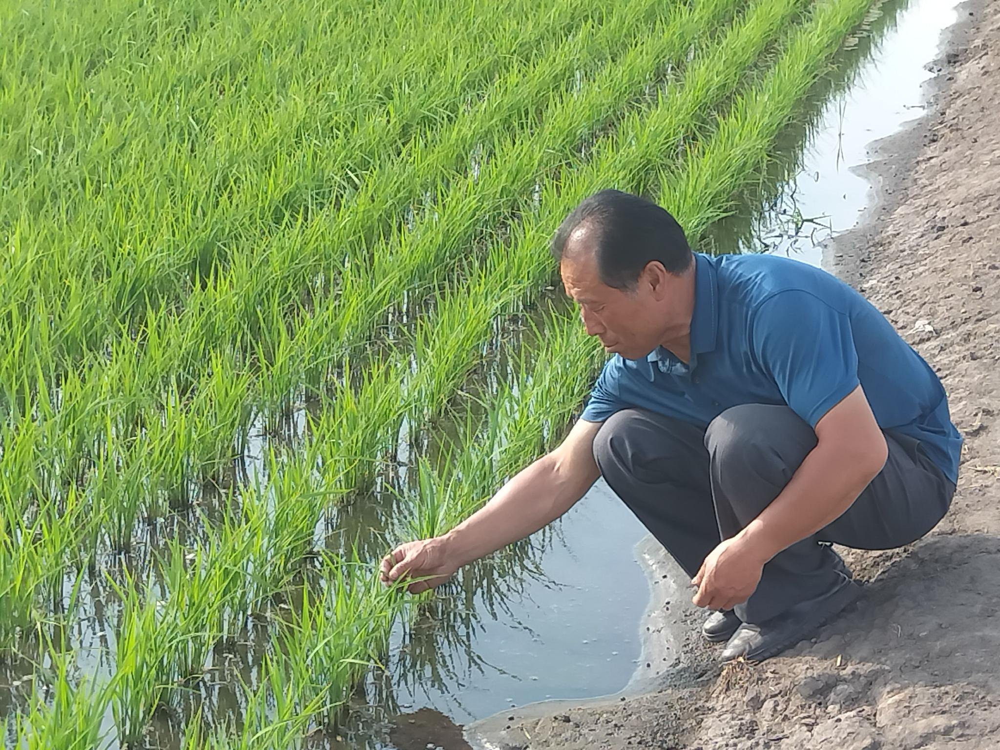 以"题"破局 书写优"粮"答卷|黑龙江省_新浪财经_新浪网