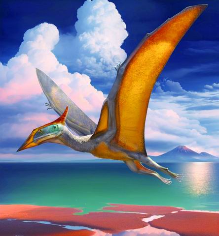 热河生物群古神翼龙类添新成员