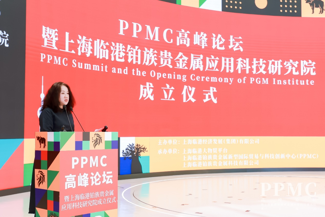 ▲临港集团首席财务官（CFO）、临港海外公司董事长杨菁