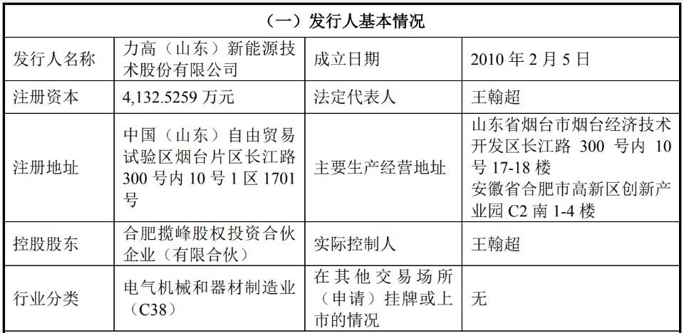 力高(山东)新能源技术股份有限公司拟IPO,多种风险值得关注|新能源汽车_新浪财经_新浪网
