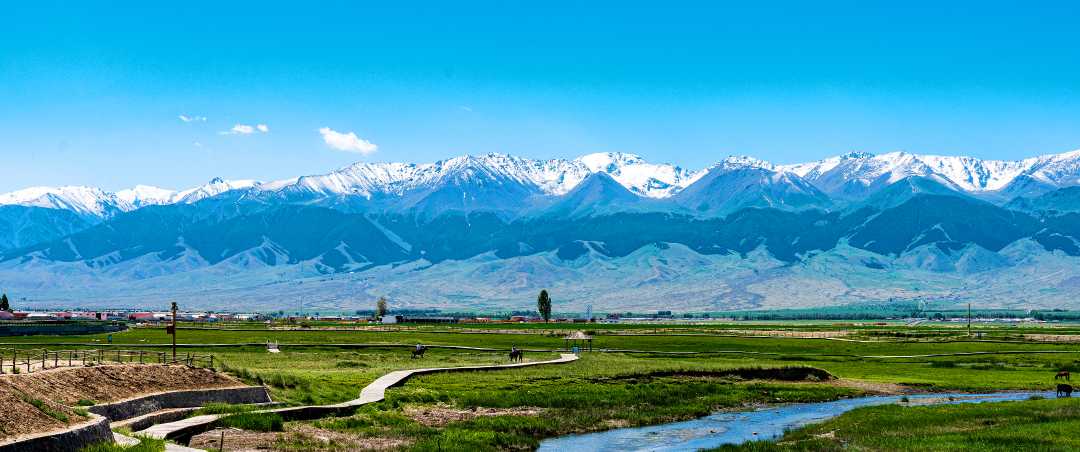 新疆哈密:湿地景区 夏日美景|新疆_新浪财经_新浪网