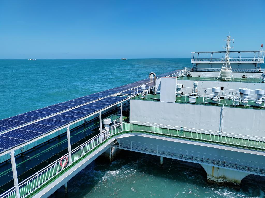 "沉船"入海底——海南乐东探索建设现代化海洋牧场见闻_新浪财经_新浪