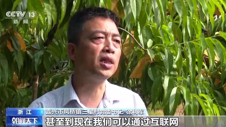 嘉兴市凤桥镇三星村党委书记 徐利军:我们一开始就是坐轮船到市场上去