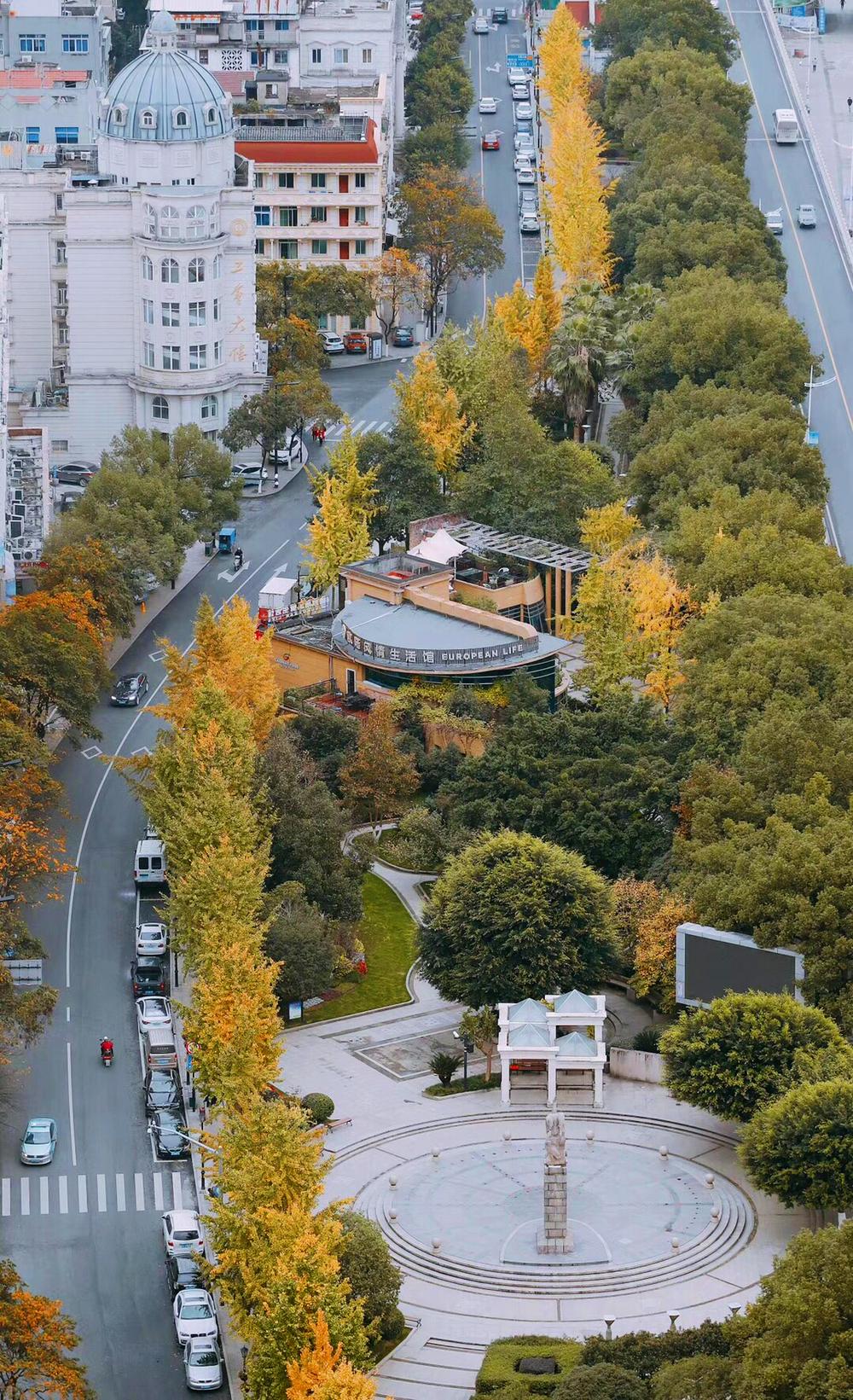 (青田街景,当地政府提供)