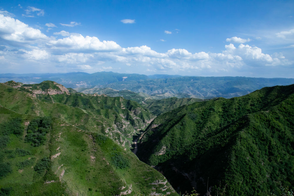 这是6月24日拍摄的武山县高楼镇铁笼山一角.