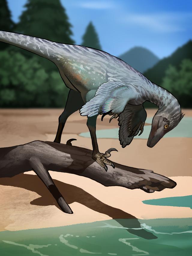 伤齿龙类复原图 .绘图:神棘