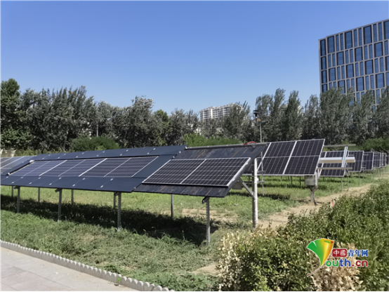 英利能源发展有限公司的光伏组件.中国青年网记者 侯倩倩 摄