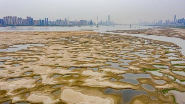 2022年9月24日,武汉,航拍长江水位下降后天兴洲江滩滩涂显露.
