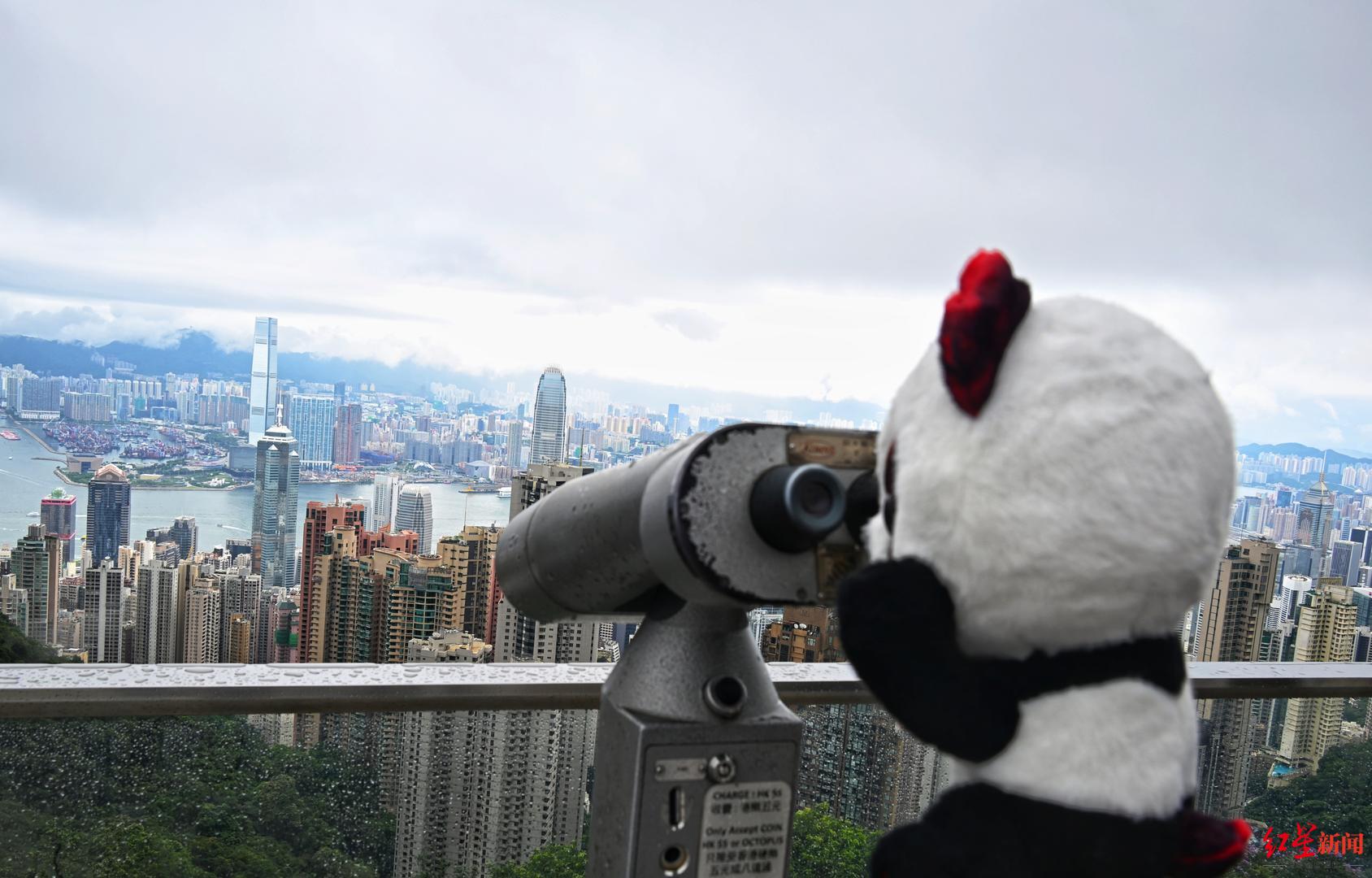 ▲蓉宝打卡香港太平山，在山顶眺望香港全景