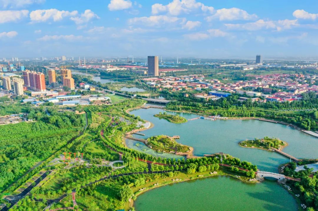 太行泉城 美丽邢台|沙河荷花湖公园:打造城市生态"绿肺"
