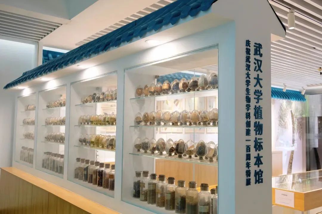 武汉大学植物标本馆 / 来源:武汉大学