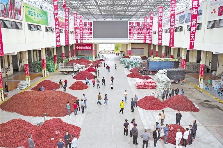 中国辣椒城 交易持续火|贵州省_新浪财经_新浪网