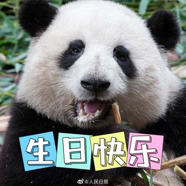 熊猫表情包来啦!听说今天有三个小熊友过生日_新浪财经_新浪网