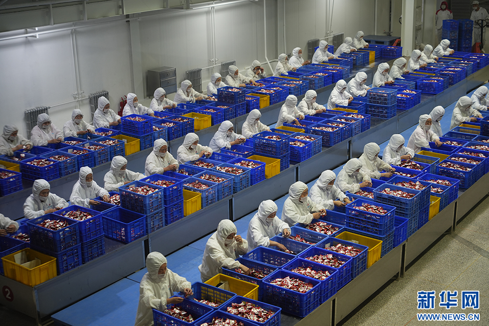 平遥牛肉集团生产车间.新华网发 (冀古陶 摄)