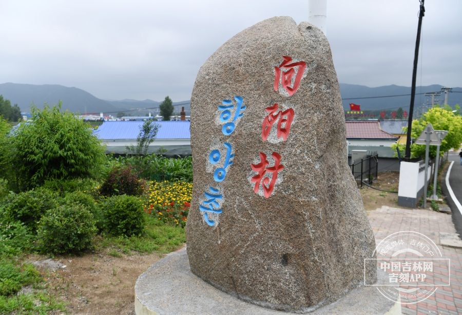 位于图们市区西北5公里处,有一个青山环绕的村庄——石岘镇向阳村